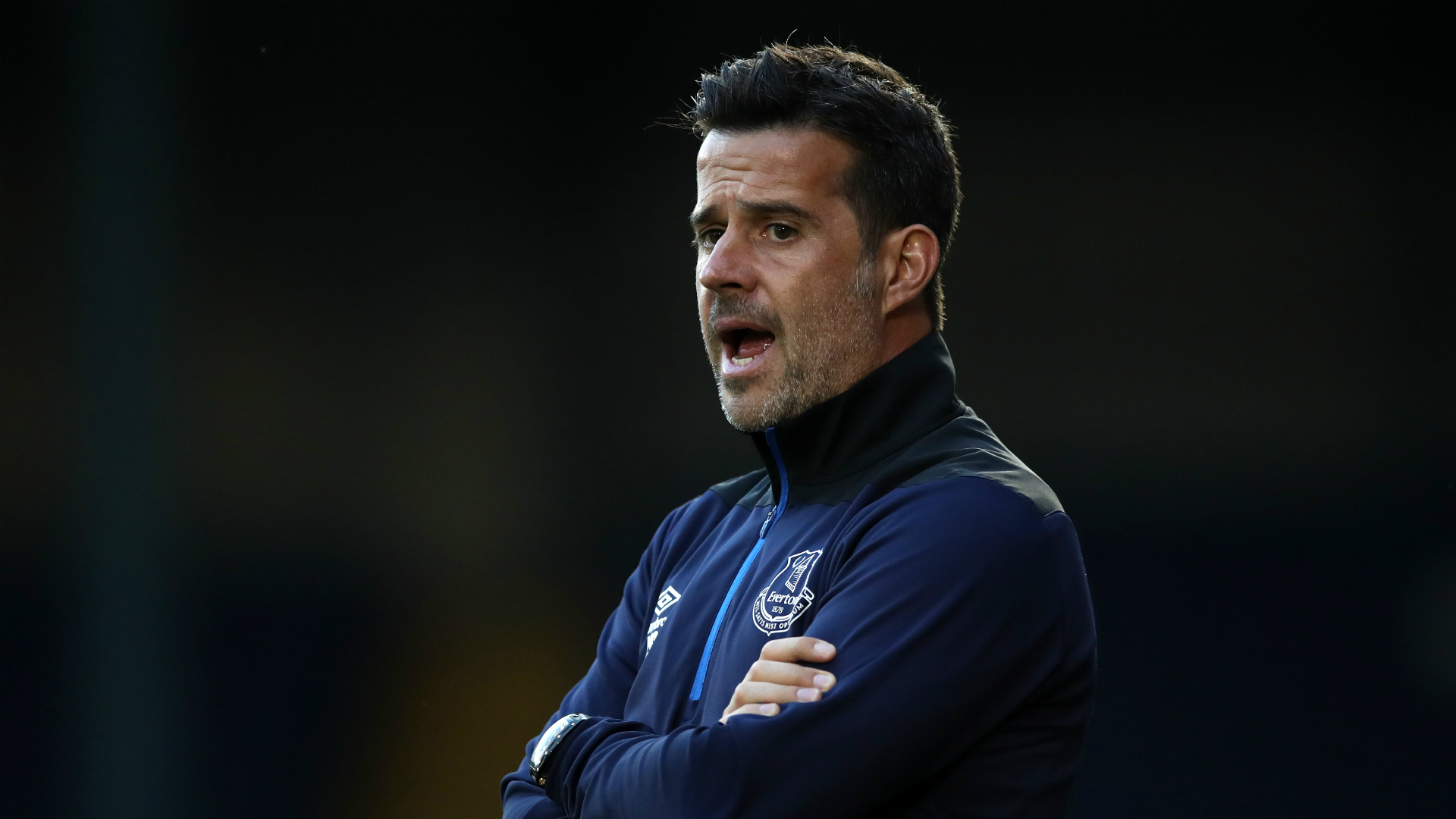 这一案例不 这一案例不